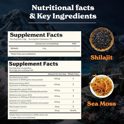 Pure Shilajit Resin